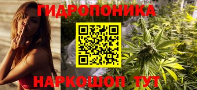 прущий лед Бийск