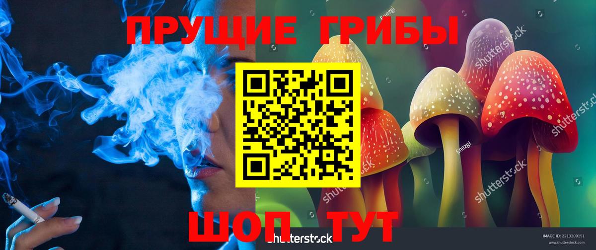 Галлюциногенные грибы MAGIC MUSHROOMS Екатеринбург